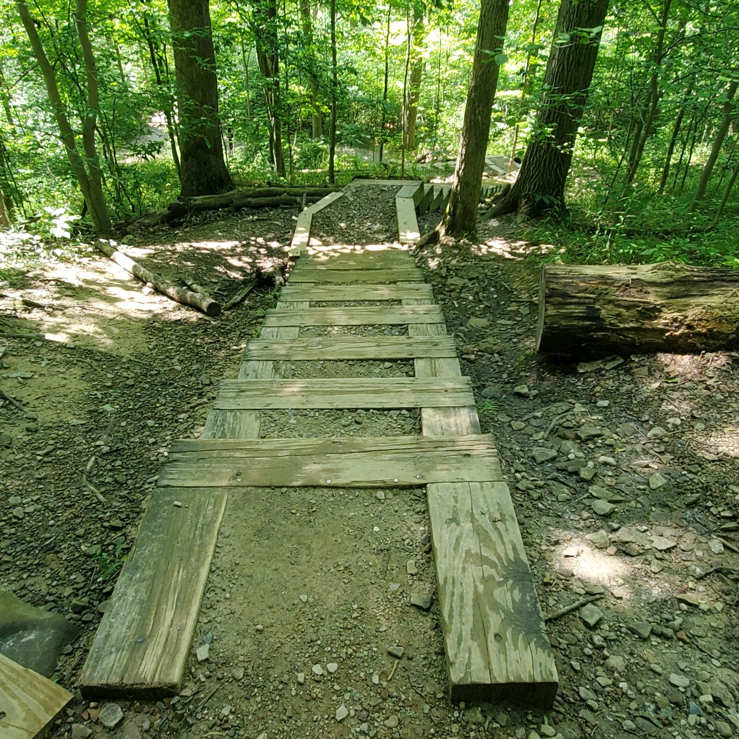 Stanford and Brandywine Gorge Trails 